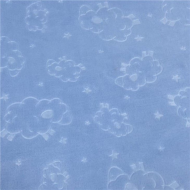 Embossing Flannel Fleece